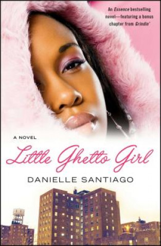Книга Little Ghetto Girl Danielle Santiago