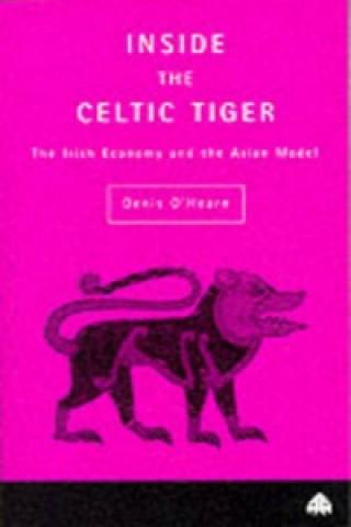 Kniha Inside the Celtic Tiger Denis O'Hearn