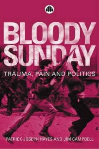 Carte Bloody Sunday Patrick Joseph Hayes