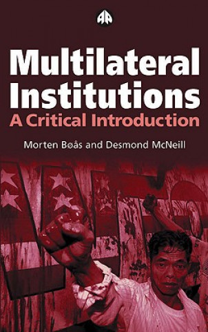 Kniha Multilateral Institutions Morten Boas