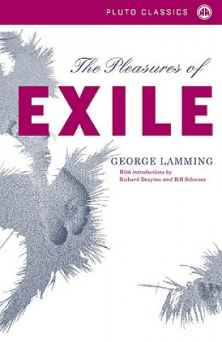 Buch Pleasures of Exile George Lamming