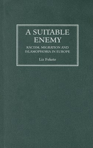 Könyv Suitable Enemy Liz Fekete
