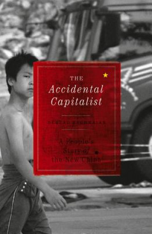 Buch Accidental Capitalist Behzad Yaghmaian
