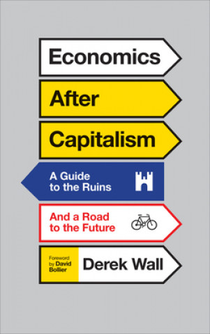 Könyv Economics After Capitalism Derek Wall
