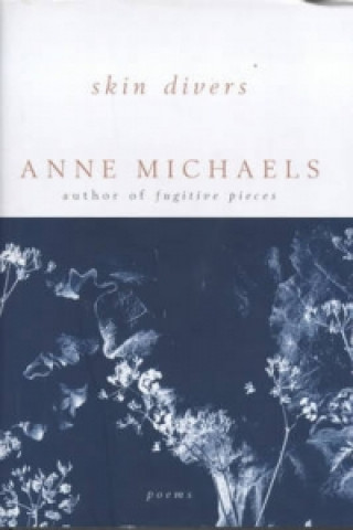 Kniha Skin Divers Anne Michaels