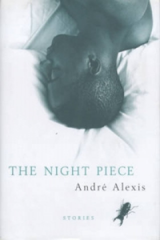 Книга Night Piece and Other Stories Andre Alexis