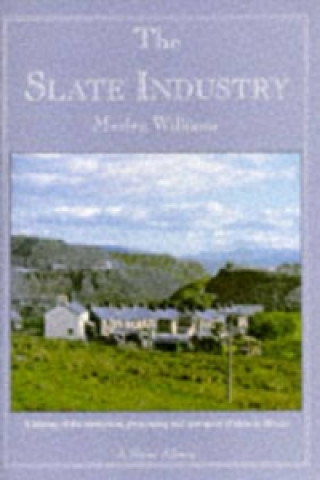 Книга Slate Industry Merfyn Williams