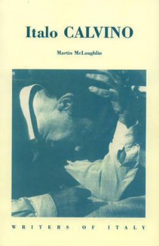 Buch Italo Calvino Martin McLaughlin