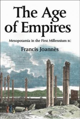 Könyv Age of Empires Francis Joannes
