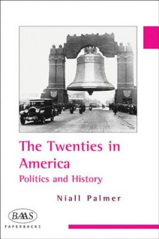 Kniha Twenties in America Niall Palmer