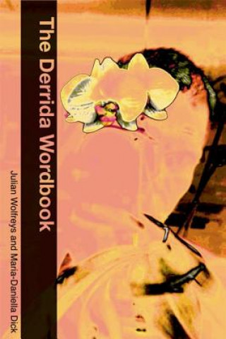 Kniha Derrida Wordbook Maria-Daniella Dick