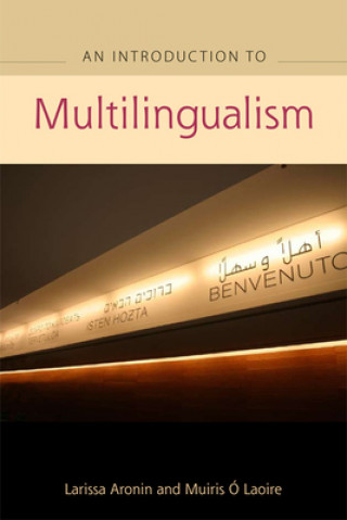 Kniha Advanced Guide to Multilingualism Larissa Aronin