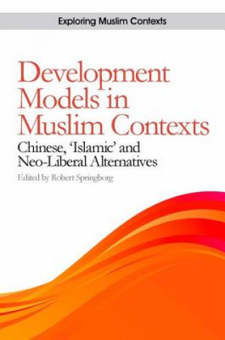 Kniha Development Models in Muslim Contexts Robert Springborg