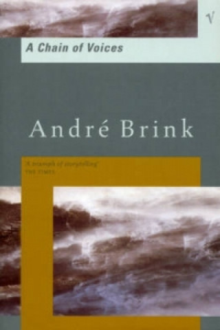 Book Chain Of Voices Andre Brink