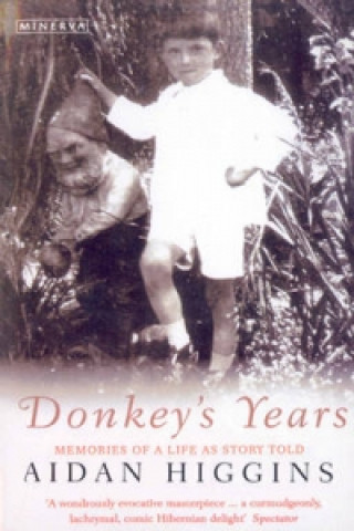 Książka Donkeys Years Aidan Higgins