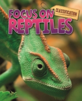 Libro Classification: Focus on: Reptiles Stephen Savage