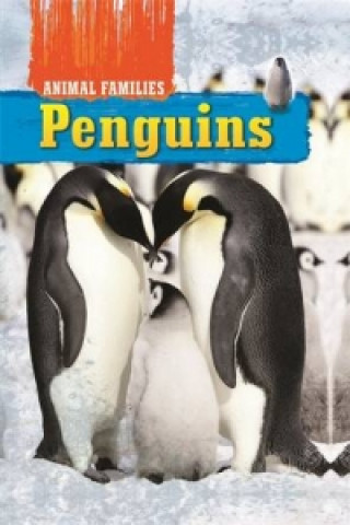 Kniha Animal Families: Penguins Tim Harris