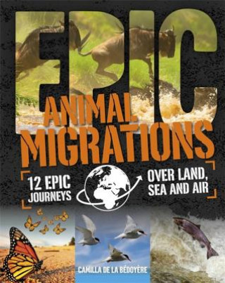 Könyv Epic!: Animal Migrations Camilla DeLaBedoyere