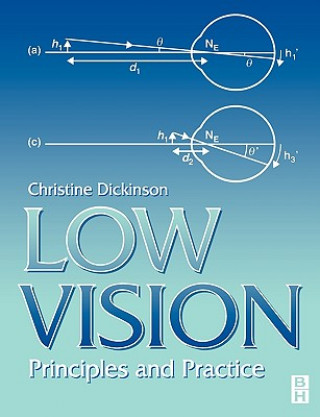 Book Low Vision Christine Dickinson