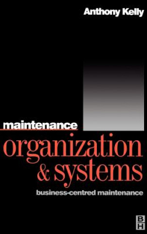 Kniha Maintenance Organization and Systems Anthony Kelly