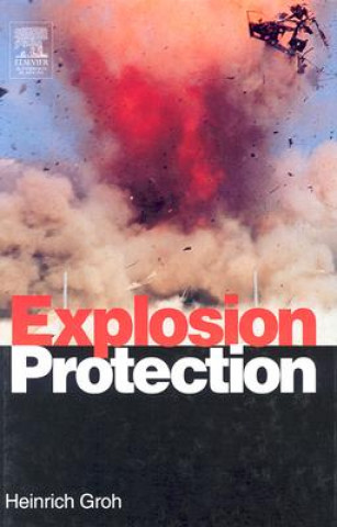 Buch Explosion Protection Heinrich Groh