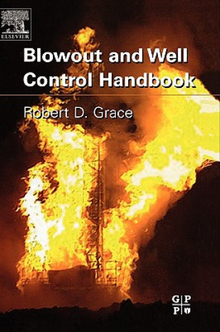 Kniha Blowout and Well Control Handbook Robert D. Grace