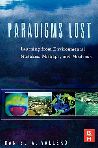 Buch Paradigms Lost Daniel Vallero