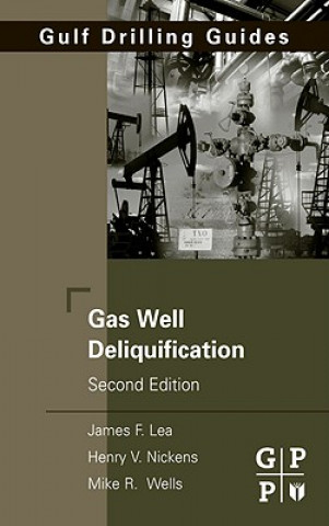Könyv Gas Well Deliquification James F. Lea