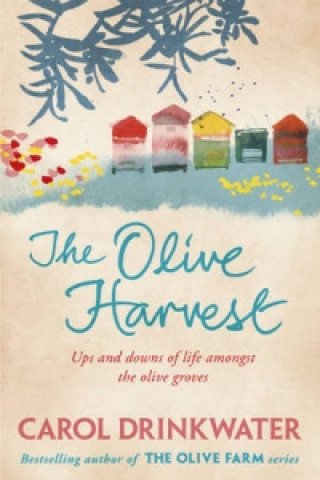 Kniha Olive Harvest Carol Drinkwater