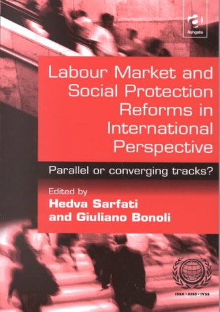 Книга Labour Market and Social Protection Reforms in International Perspective Giuliano Bonoli