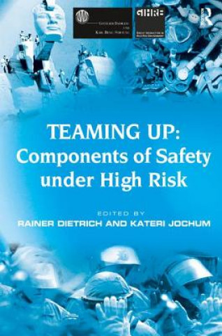 Książka Teaming Up: Components of Safety Under High Risk Kateri Jochum