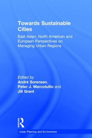 Kniha Towards Sustainable Cities Peter J. Marcotullio