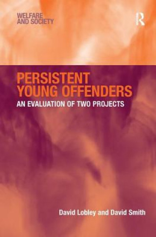 Kniha Persistent Young Offenders David Lobley