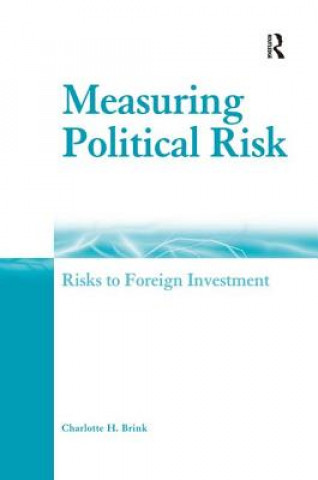 Kniha Measuring Political Risk Charlotte H Brink