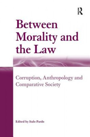 Buch Between Morality and the Law 