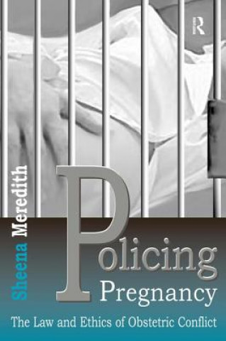 Könyv Policing Pregnancy Sheena Meredith