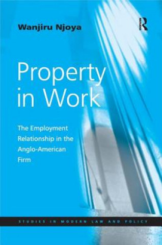 Kniha Property in Work Wanjiru Njoya