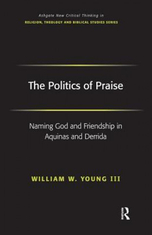 Książka Politics of Praise William W. Young