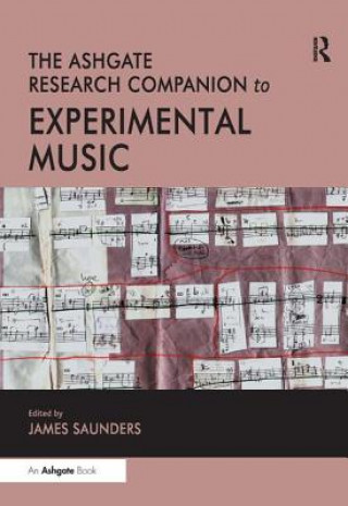 Kniha Ashgate Research Companion to Experimental Music 