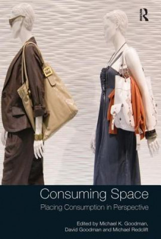 Book Consuming Space Michael K. Goodman