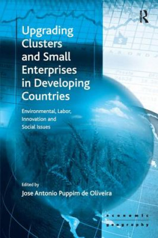 Könyv Upgrading Clusters and Small Enterprises in Developing Countries 