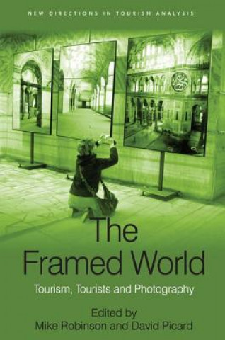 Kniha Framed World David Picard