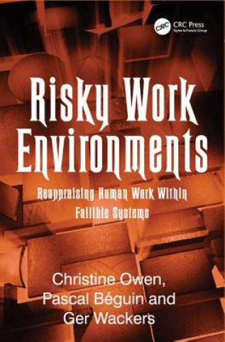 Boek Risky Work Environments Pascal Beguin