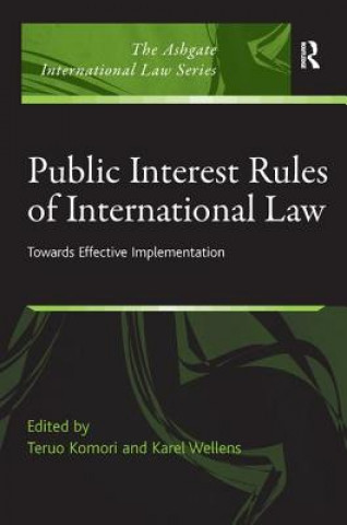 Kniha Public Interest Rules of International Law Teruo Komori