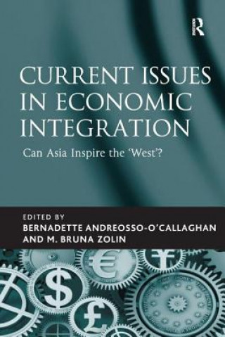 Kniha Current Issues in Economic Integration M. Bruna Zolin