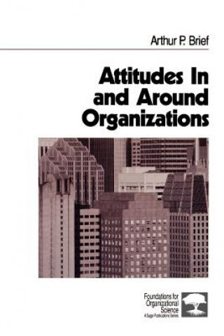 Kniha Attitudes In and Around Organizations Arthur P. Brief