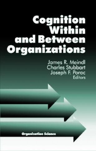 Kniha Cognition Within and Between Organizations James Meindl