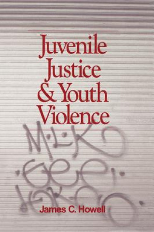 Kniha Juvenile Justice and Youth Violence James C. Howell