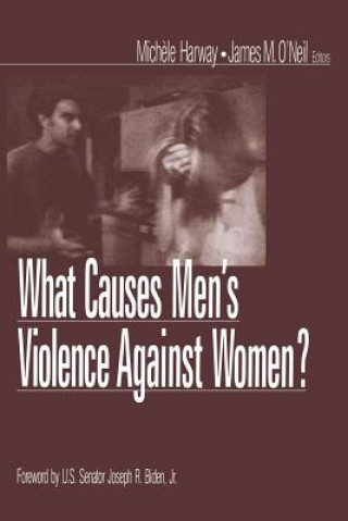 Buch What Causes Men's Violence Against Women? Michele Harway