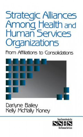 Kniha Strategic Alliances Among Health and Human Services Organizations Darlyne Bailey